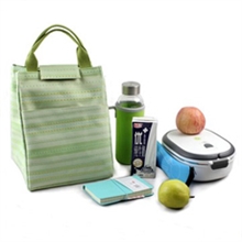 Insulated Lunch Bag